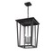 Z-Lite Seoul 3 Light Outdoor Chain Mount Ceiling Fixture, Black & Clear 571CHXL-BK - alternate 2